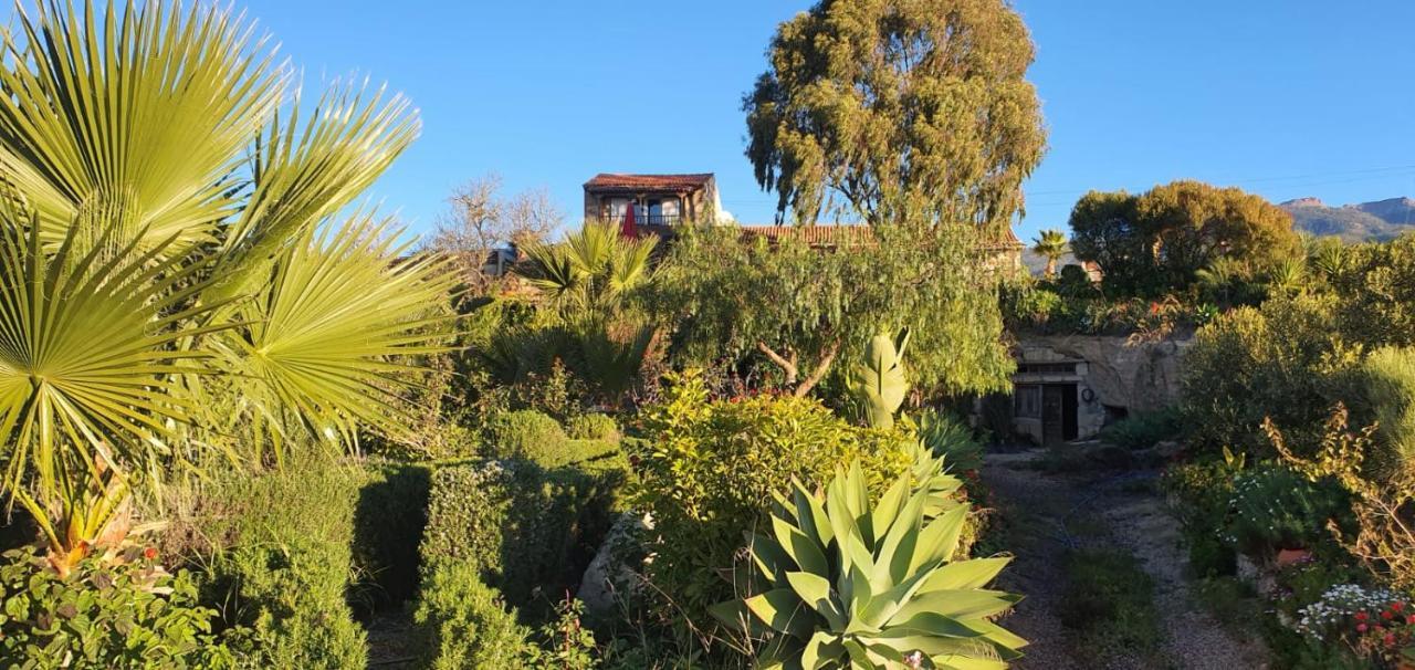 Tenerife Nature Retreat Ifonche Bagian luar foto