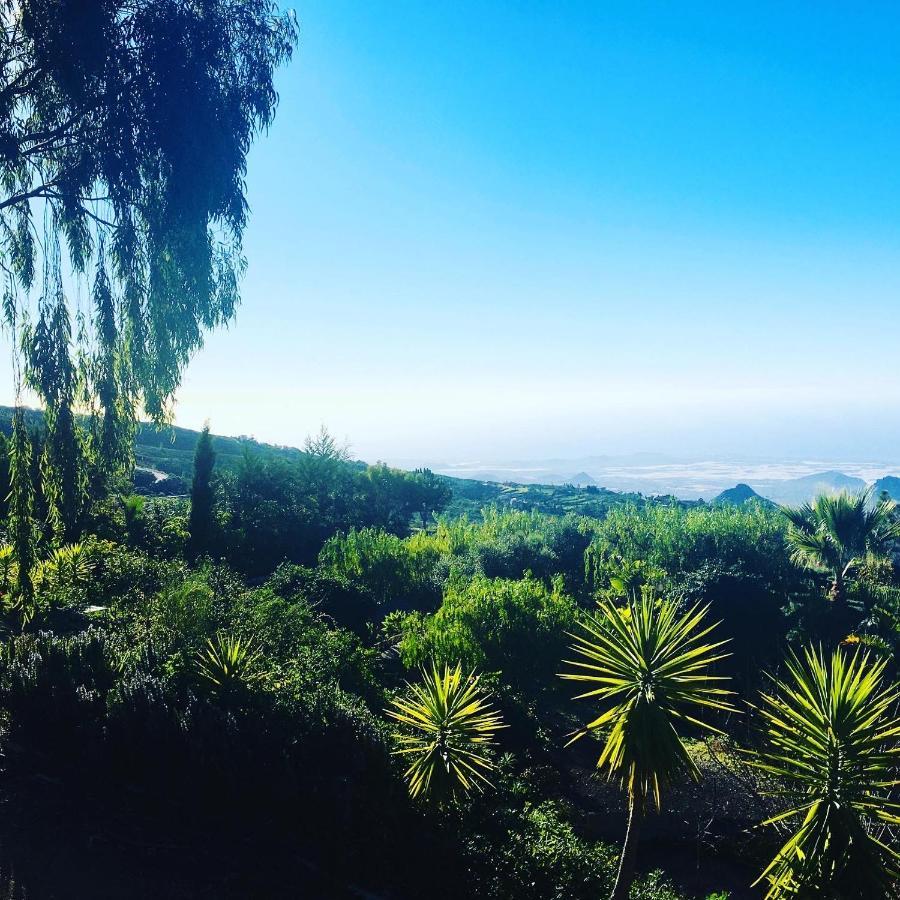 Tenerife Nature Retreat Ifonche Bagian luar foto