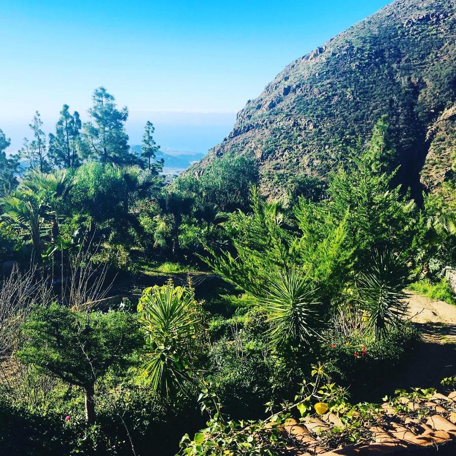 Tenerife Nature Retreat Ifonche Bagian luar foto