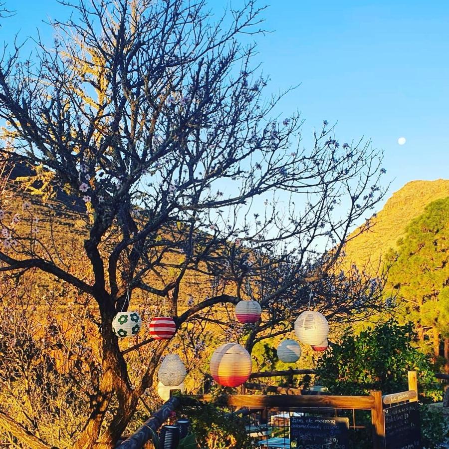Tenerife Nature Retreat Ifonche Bagian luar foto