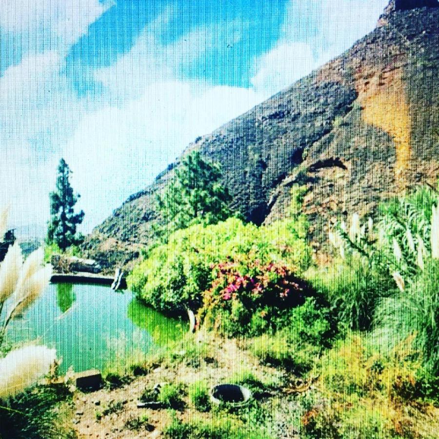 Tenerife Nature Retreat Ifonche Bagian luar foto